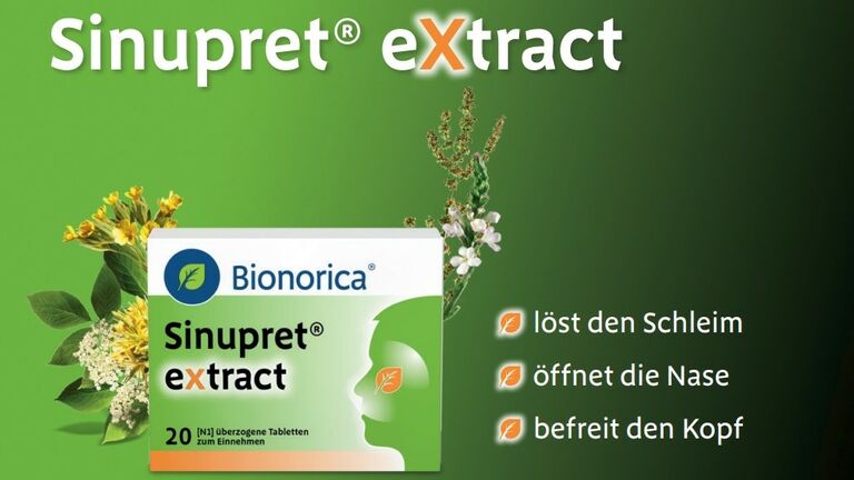 Sinupret Extract 160 Mg 40 Comprimes Bionorica | Pharmaglobe.lu